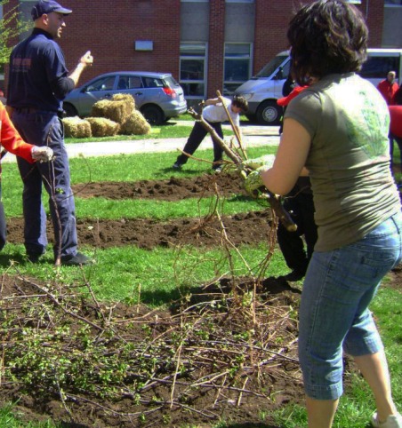 To create hugelmounds you need to lay the branches down before putting a layer of soil on top.